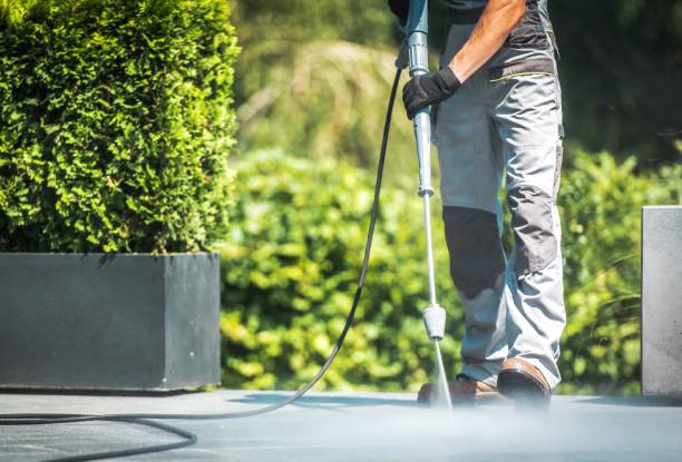 Solar Panel Cleaning in Napoleon, OH